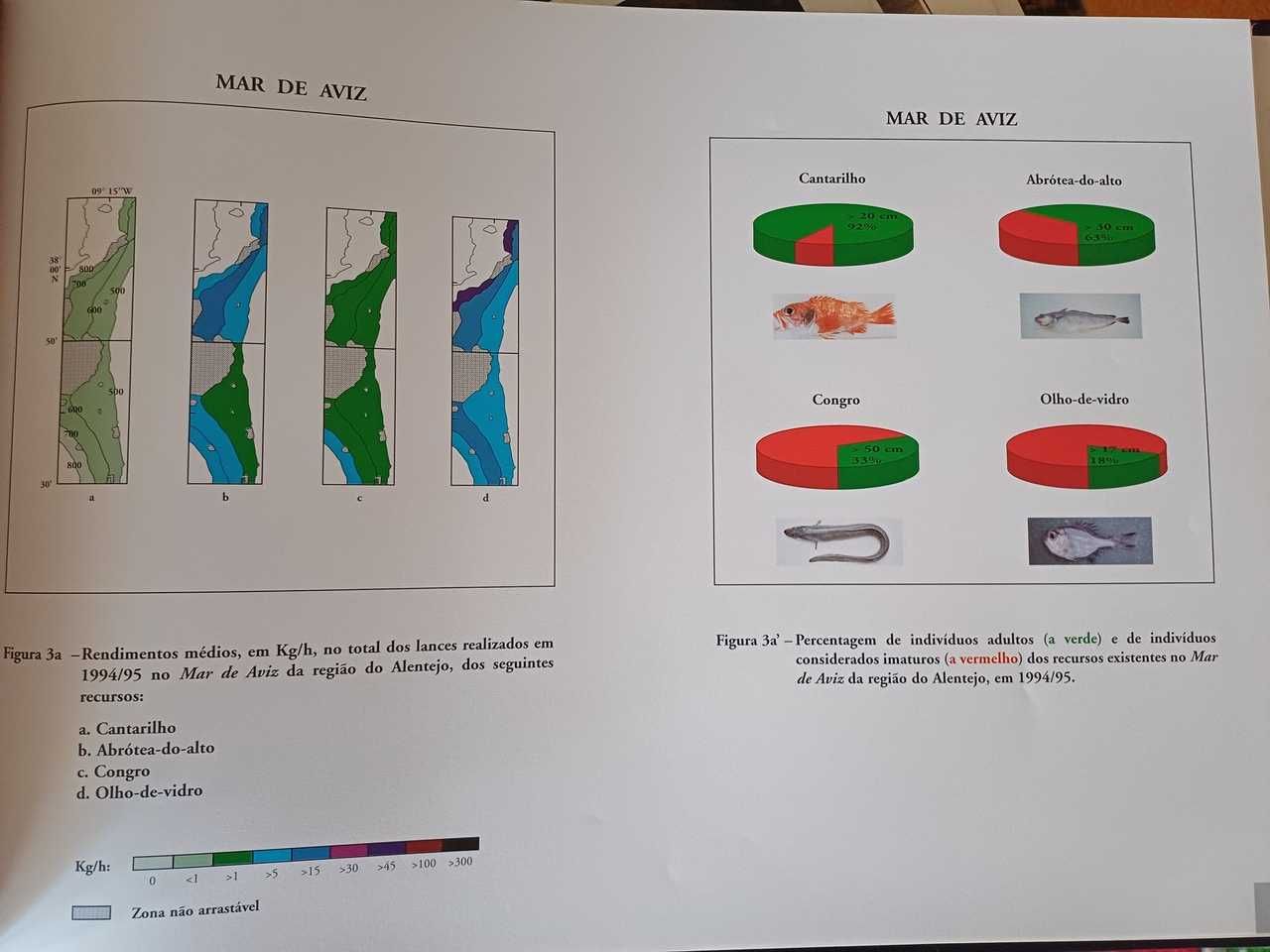 Atlas de apoio à pesca de arrasto na vertente continental portuguesa