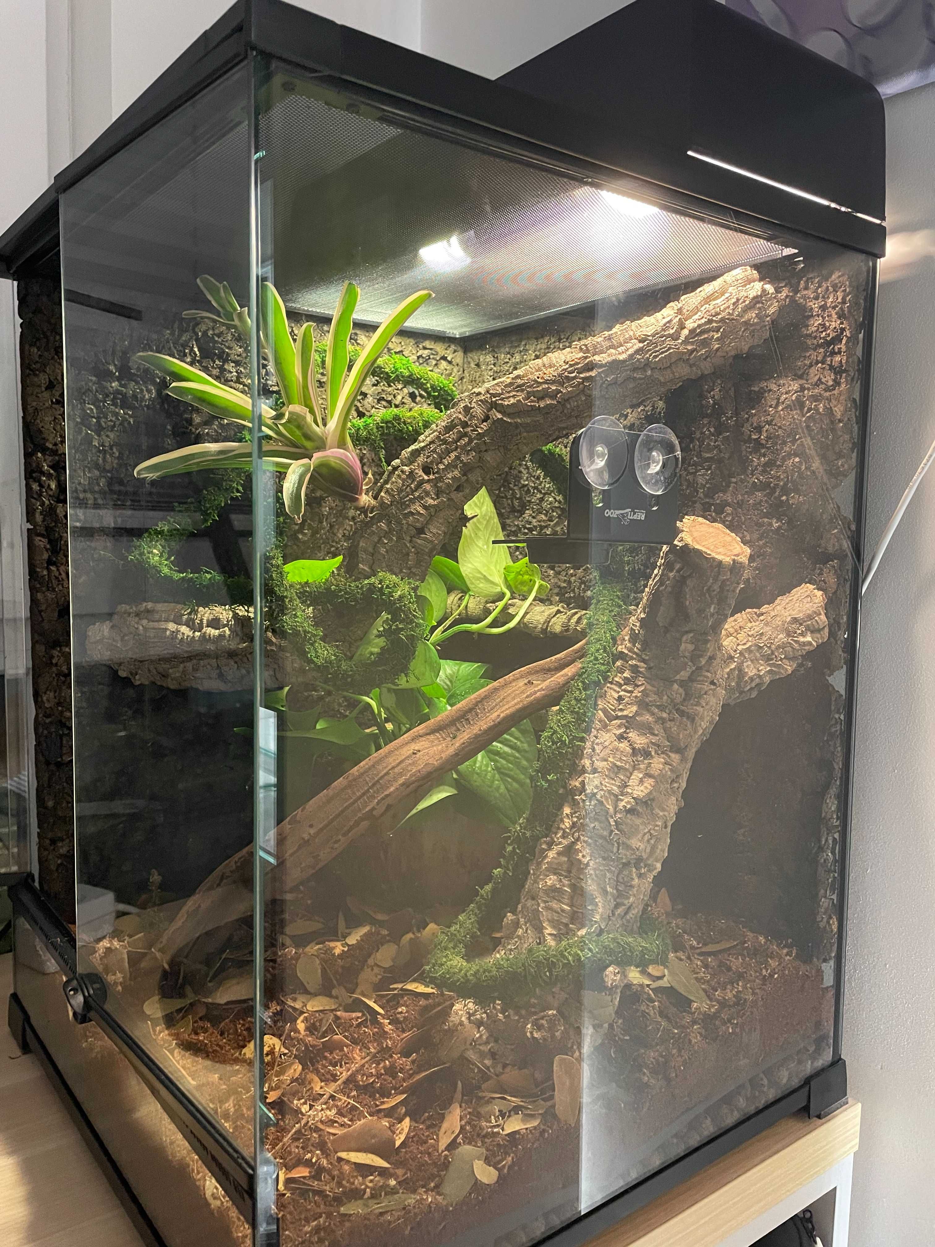 Terrarium Repti Planet z wyposażeniem (Bez gekona)
