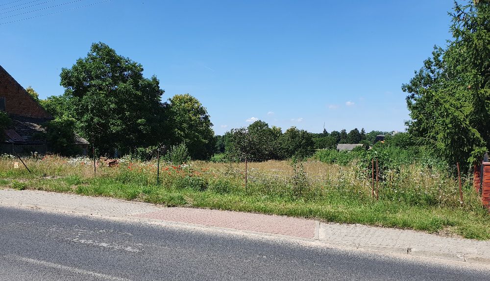 Działka budowlana siedliskowa 4500m2 Gębice k. Mogilna uzbrojona