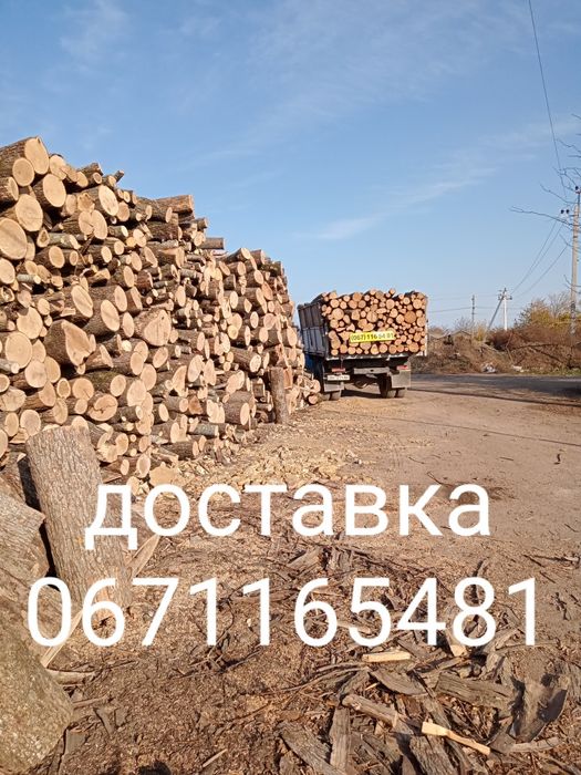 Продам дрова: сосна, береза дуб