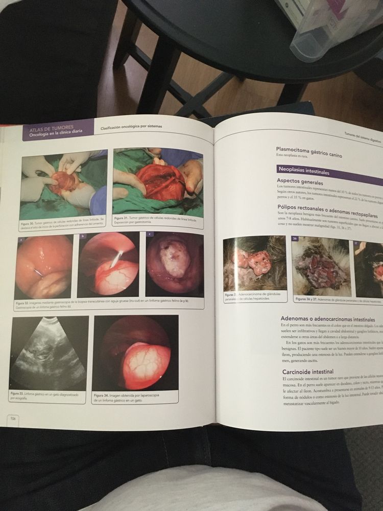 Livro veterinária : Bases anatomicas en intervenciones quirurgicas