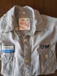 Camisas / Camiseiros 10 anos Zippy
