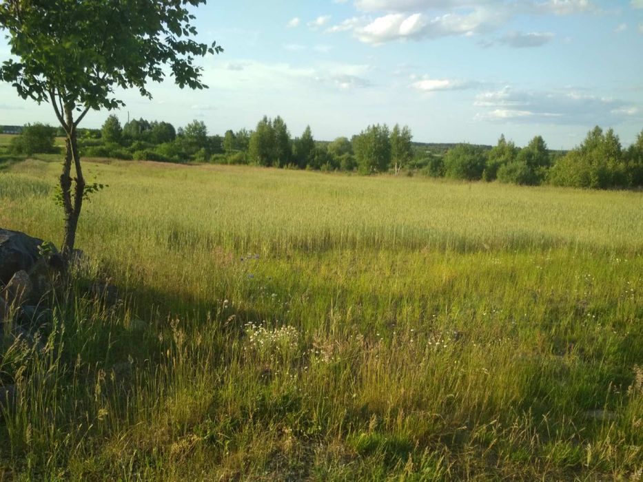 36 соток Суховоля