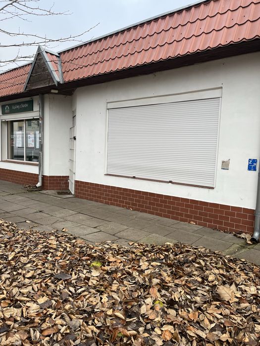 Wynajmę lokal handlowo-usługowy Gdańsk - Żabianka