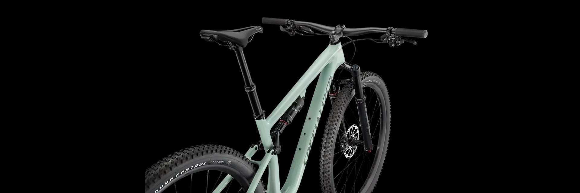 Specialized Epic Comp EVO Gloss Ca White Sage / Sage Green T-M