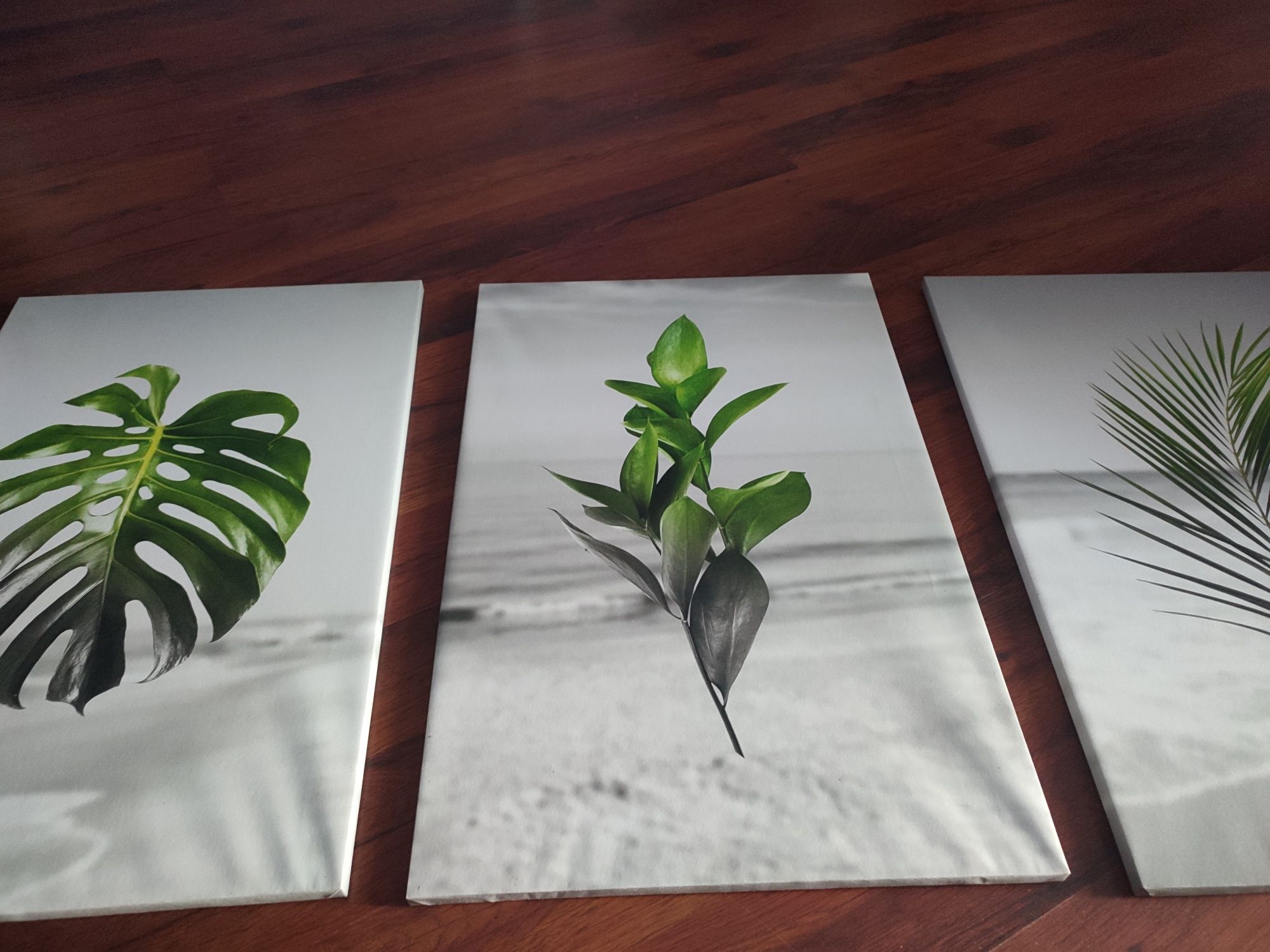 3 obrazy zielone liście