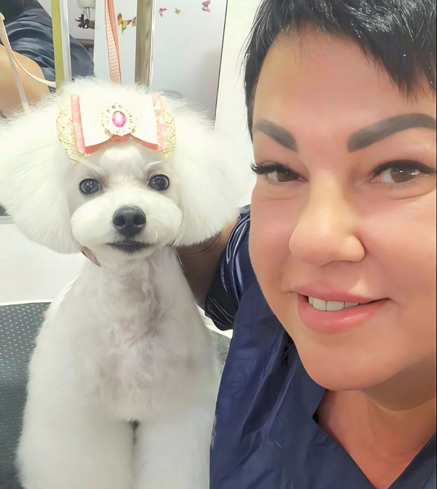 Грумер Харків. Стрижка собак . Метро Київська. Навчання