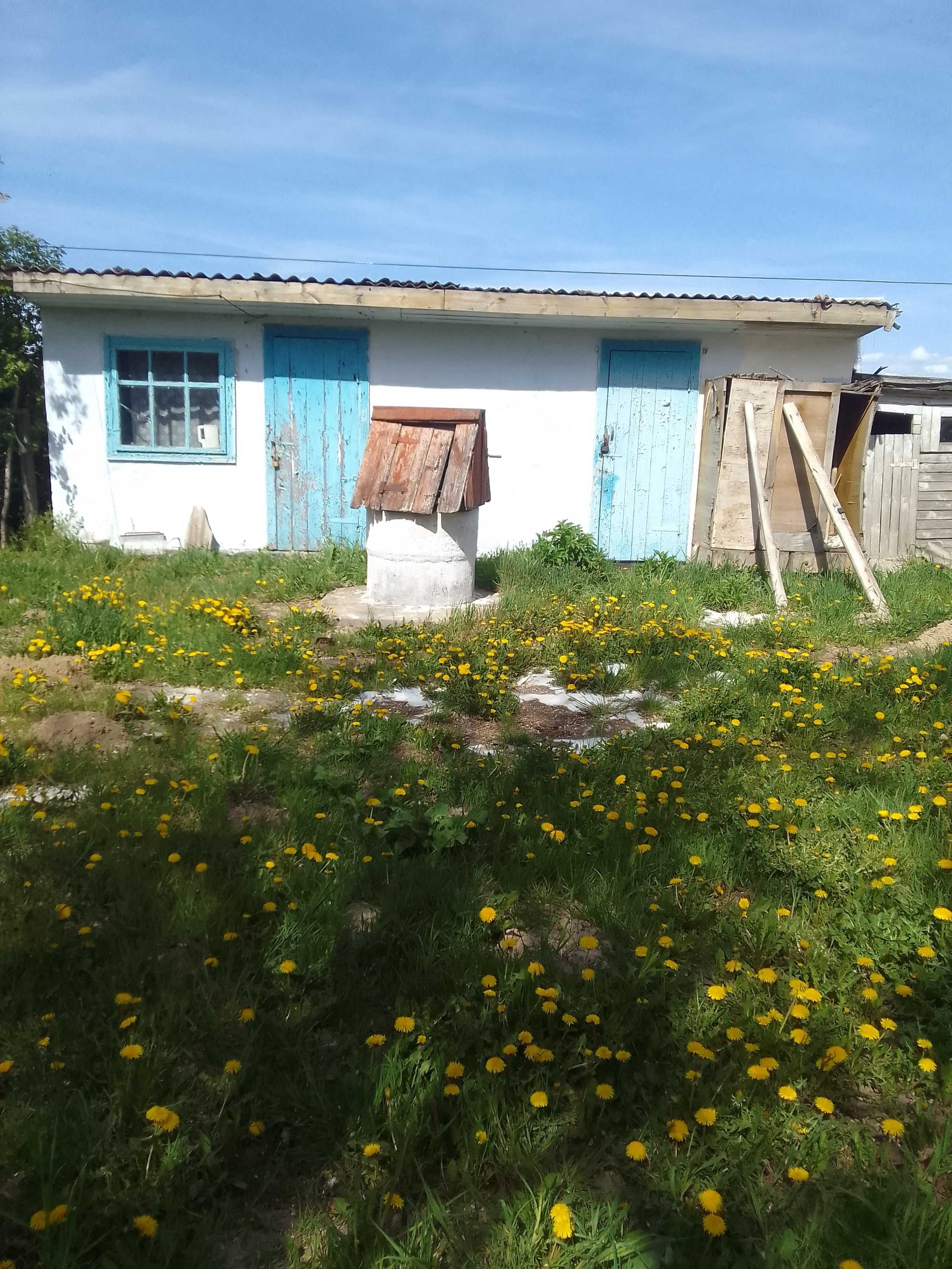 Продається будинок з земельною ділянкою в с. Бранів