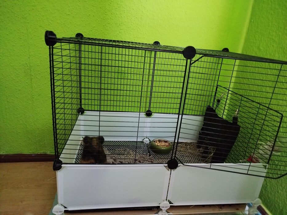 klatka dla gryzoni