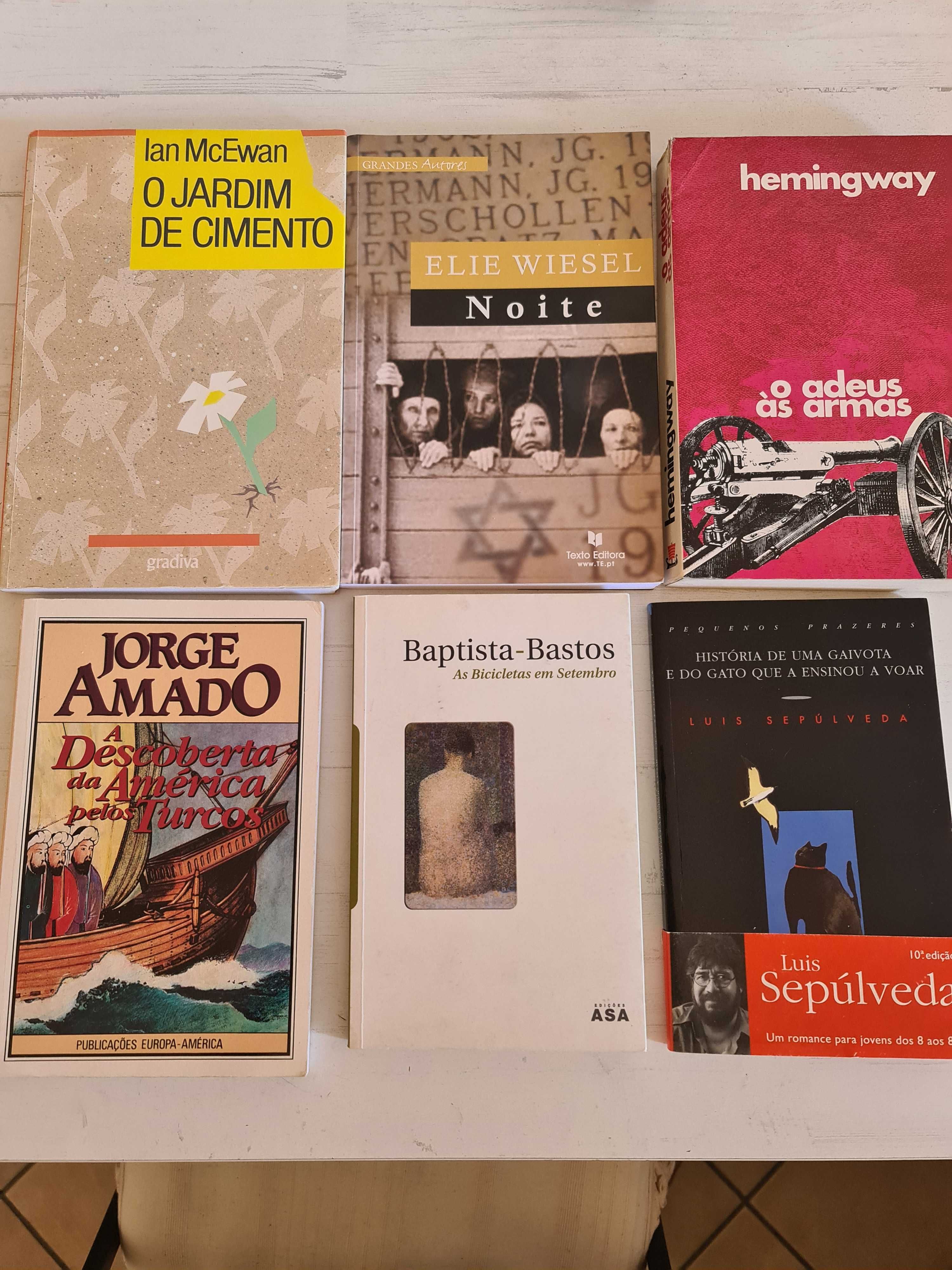 Coleção de Livros - Eça de Queirós Victor Hugo Júlio Verne Hemingway
