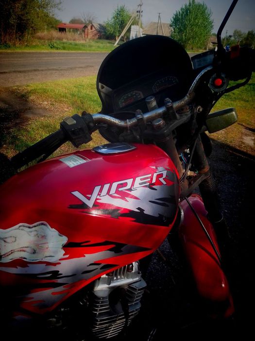 Вайпер zs125j Конь !!