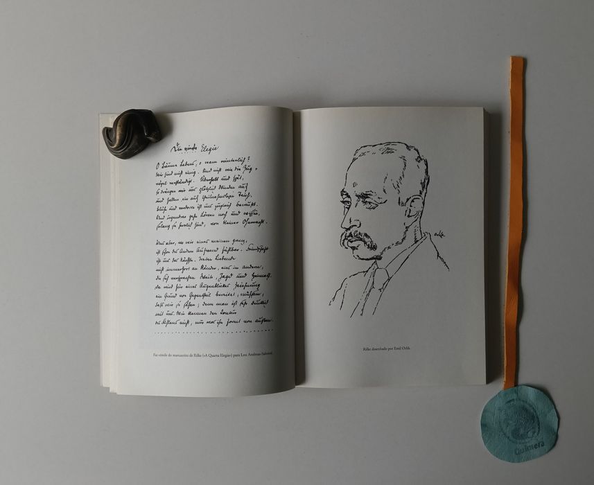 As elegias de Duíno, Rainer Maria Rilke