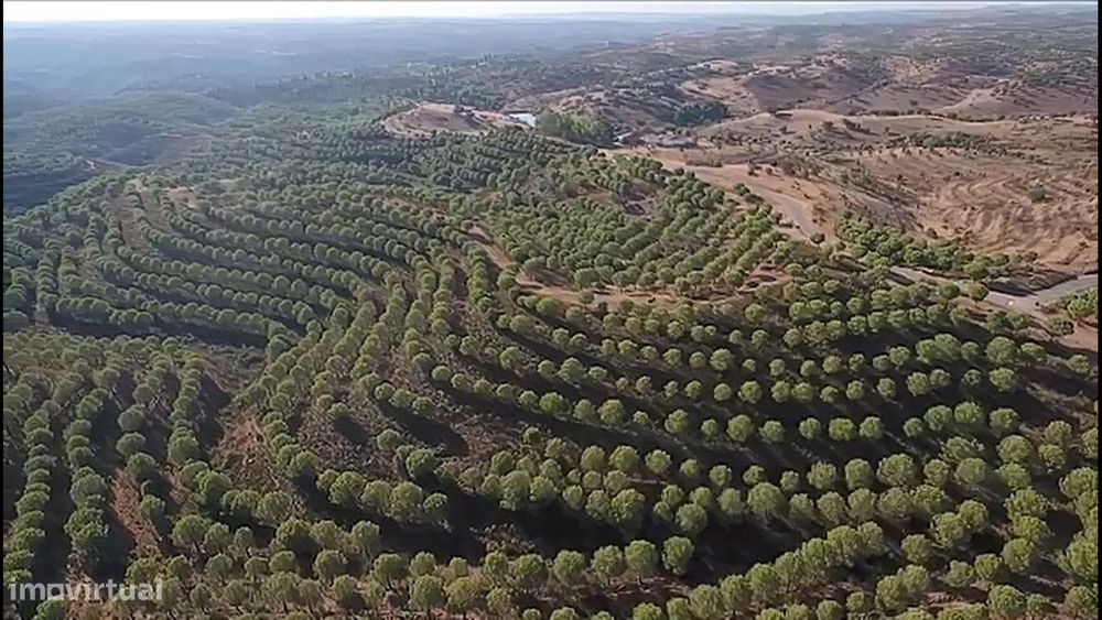 Herdade com área total de 135 hectares a confinar 3km com o Rio Guadia