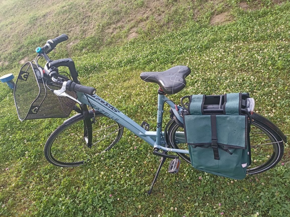 Rowar Gazelle Chamonix Lite
