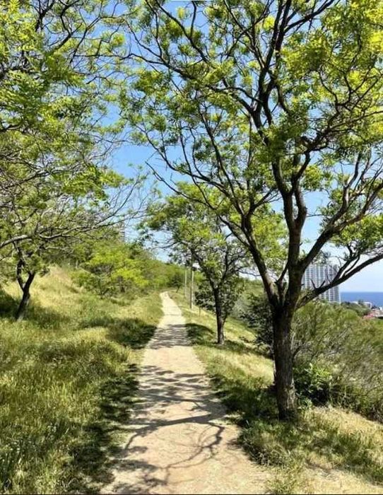 Редкий вариант! Квартира в" Белый Парус" Две спальни и Кухня Гостиная