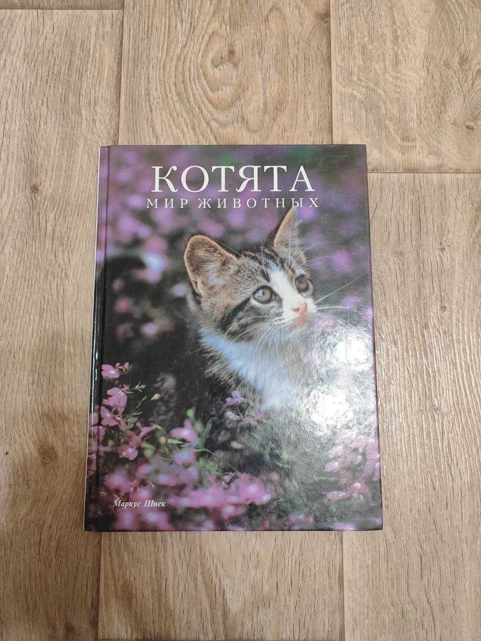 Книга Котята мир животных