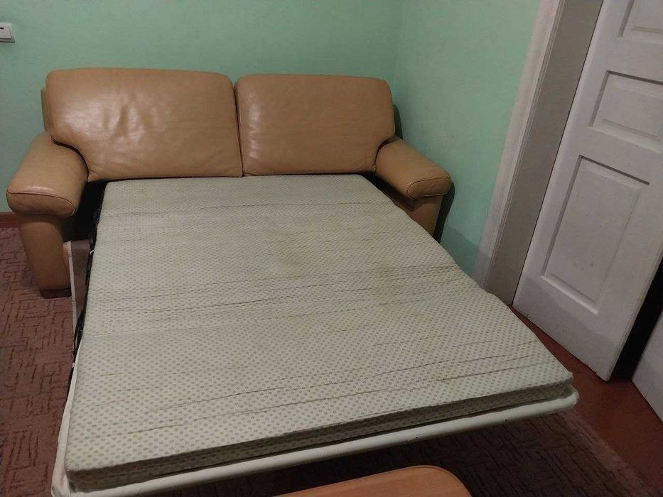 двомісний шкіряний диван