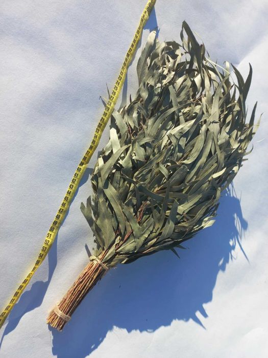 Банні віники дуб ,берёза, липа, хвоя эвкаліпт Трави3/5/65