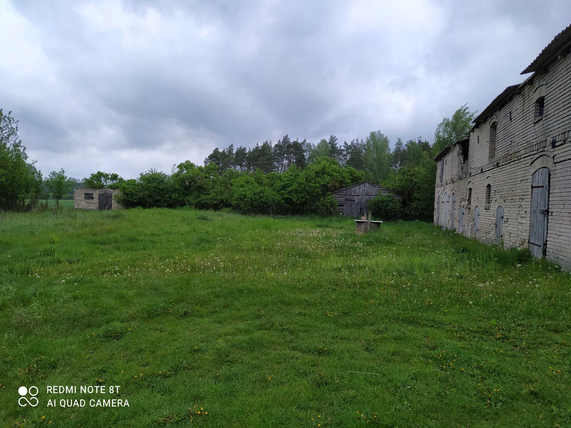 Przestronny dom z dużym potencjałem