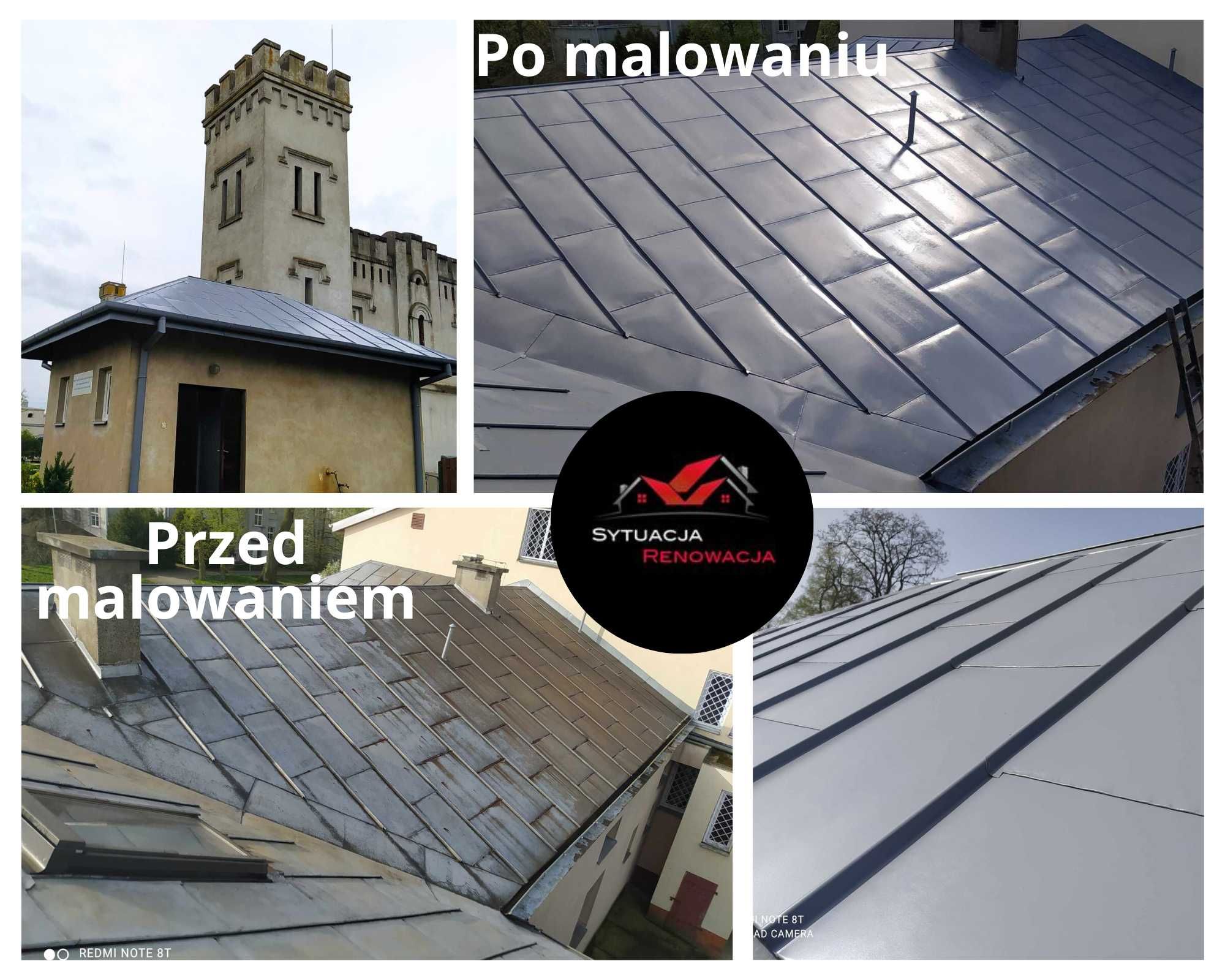 Mycie i malowanie dachów