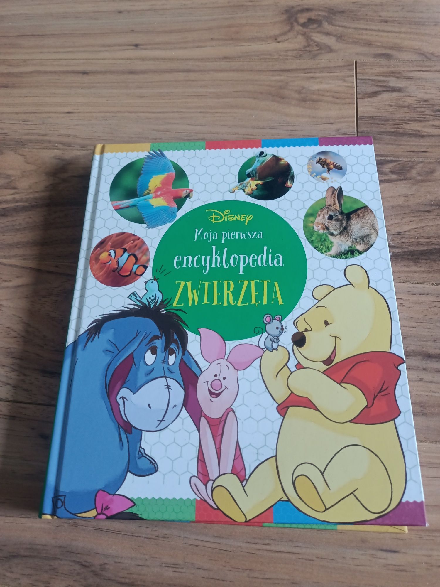 Moja pierwsza encyklopedia zwierzęta Disney Kubuś  Puchatek