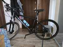 Rower Unibike Viper 2024 Cross