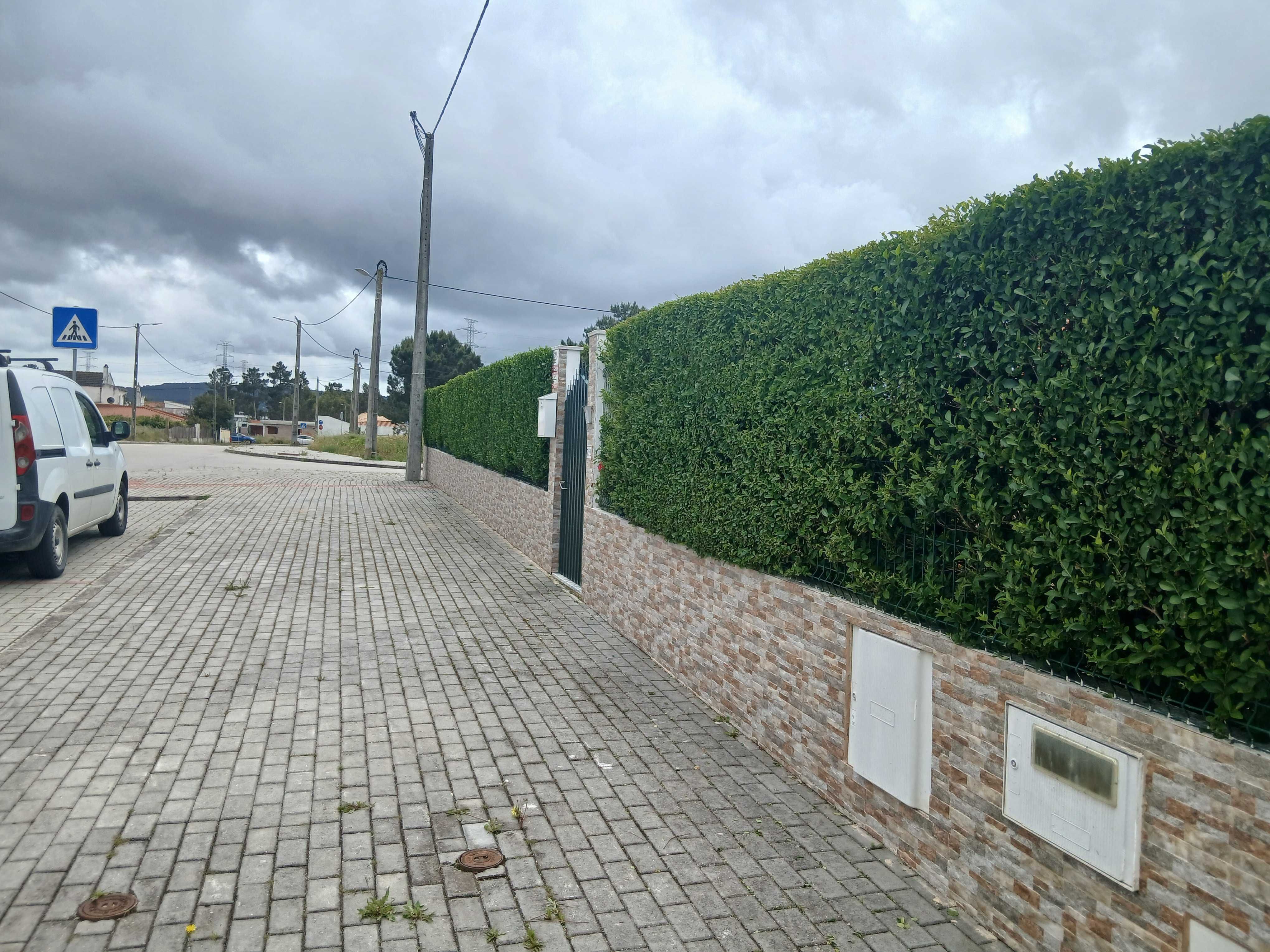 Serviços de jardinagem