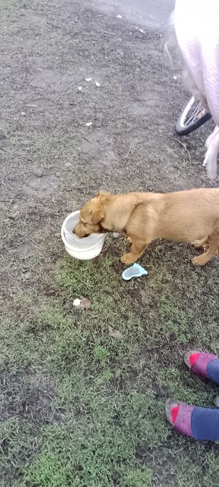 Хлопчик пів року, маленький