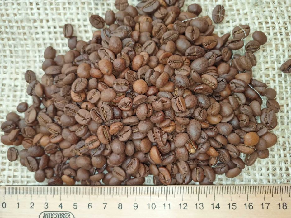 АКЦИЯ! Кофе в зернах свежей обжарки SPECIALITY,Колумб.Кава зернова,1КГ