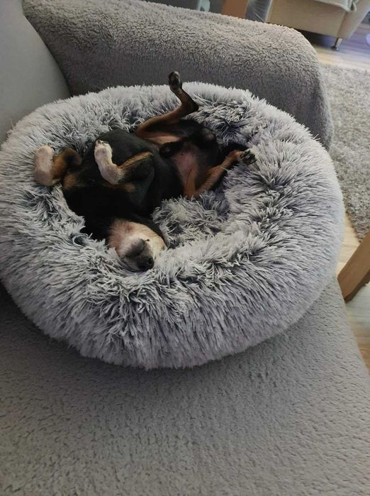 LEGOWISKO dla psa XXL plusz NOWE pieska pluszowe Chmurka POLSKIE duże