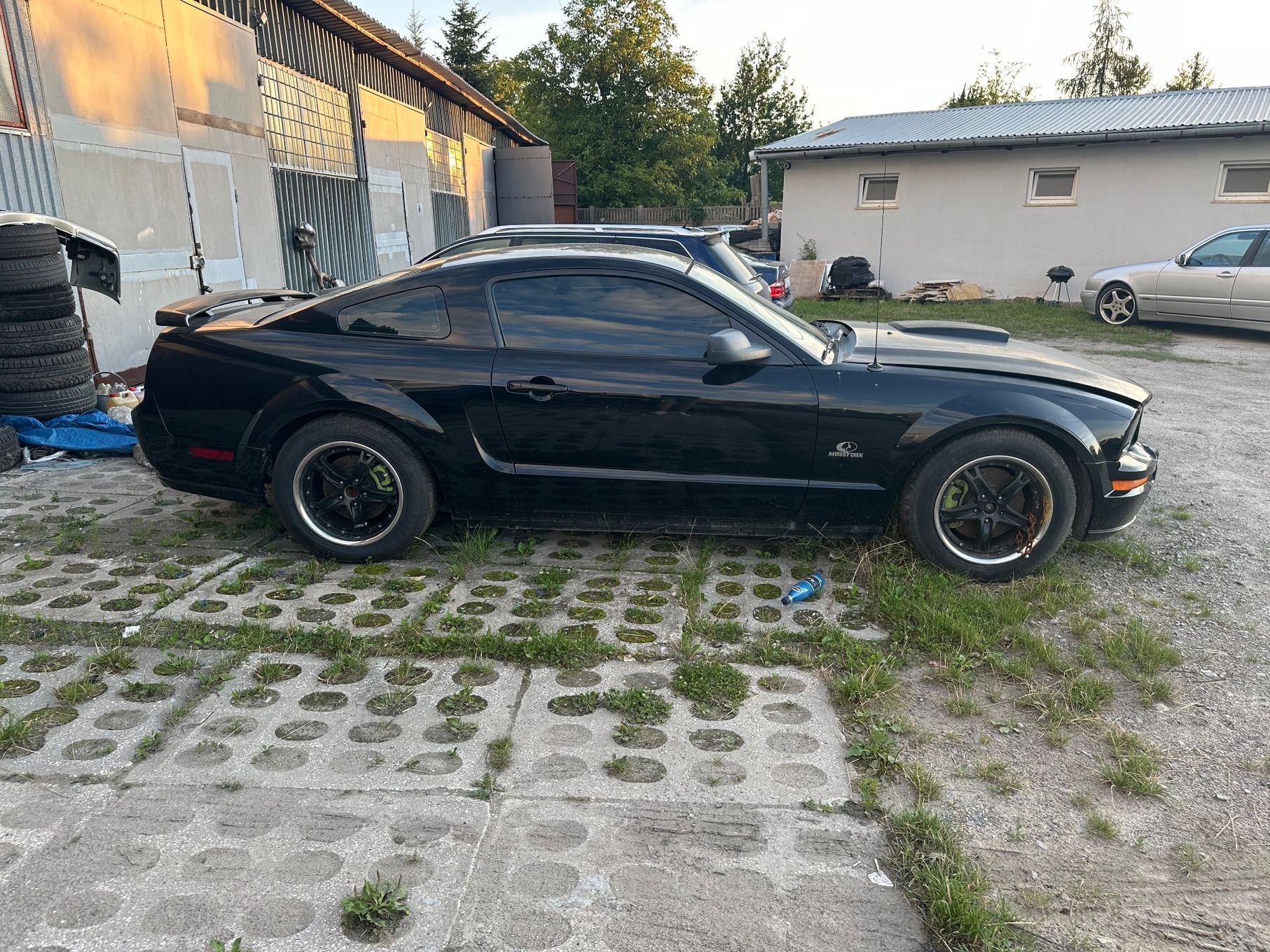 Ford Mustang Manual