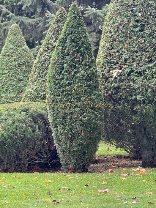 Продаж ділянки 1,7 Га Конча-Заспа та резиденції будинку 250м2