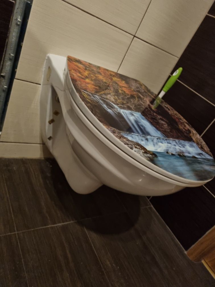 Toaleta muszla klozetowa WC deska