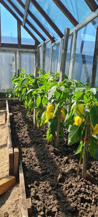 Садовий будинок у районі Цегельного Заводу