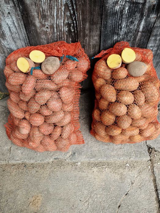 Ziemniaki jadalne Soraya, Lawenda