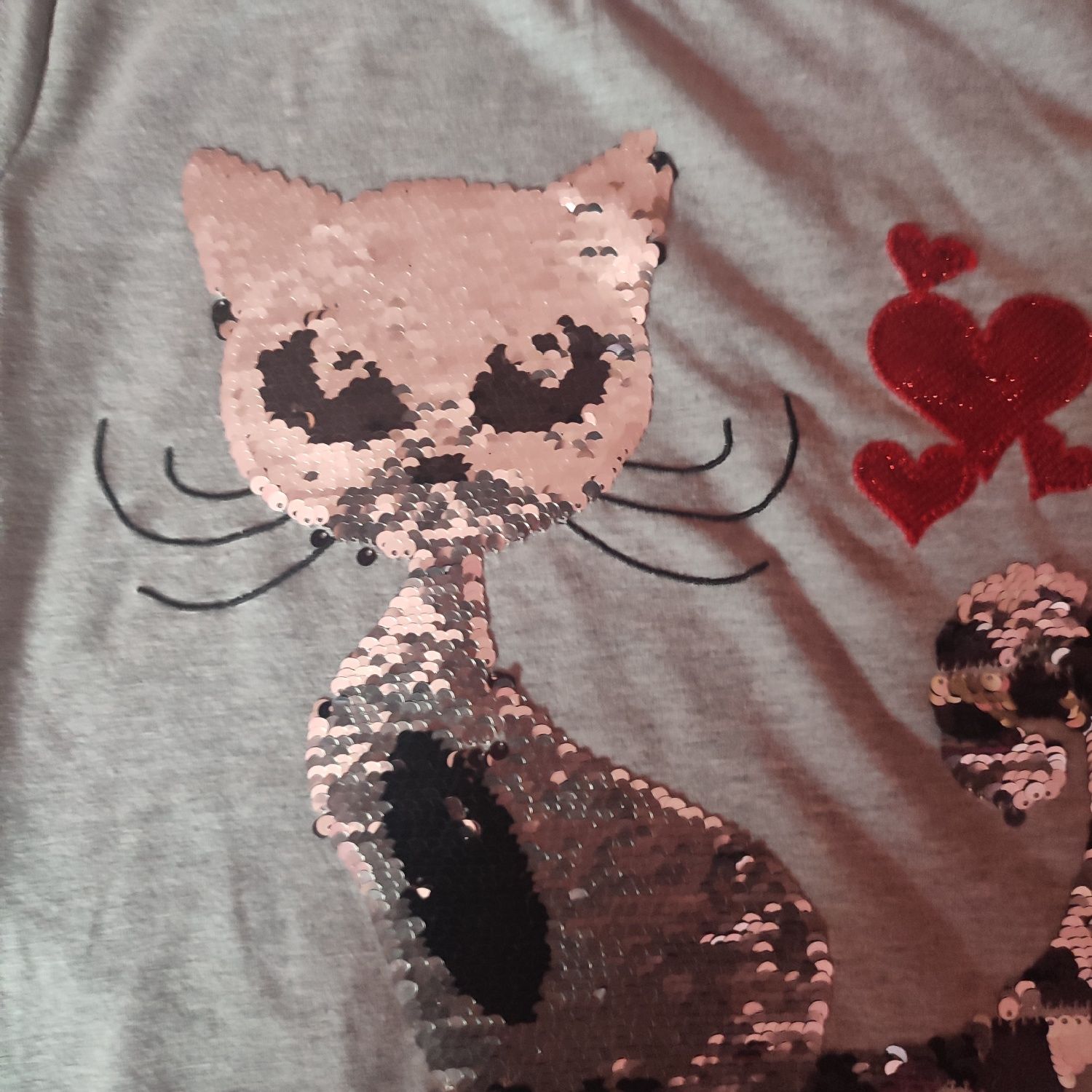 Bluza z  kotkiem cekiny