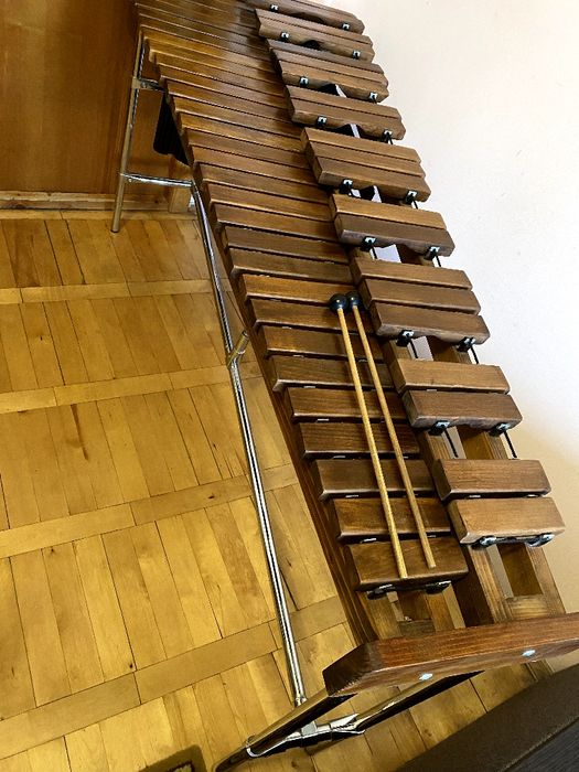 Ксилофон (професійний музичний інструмент)