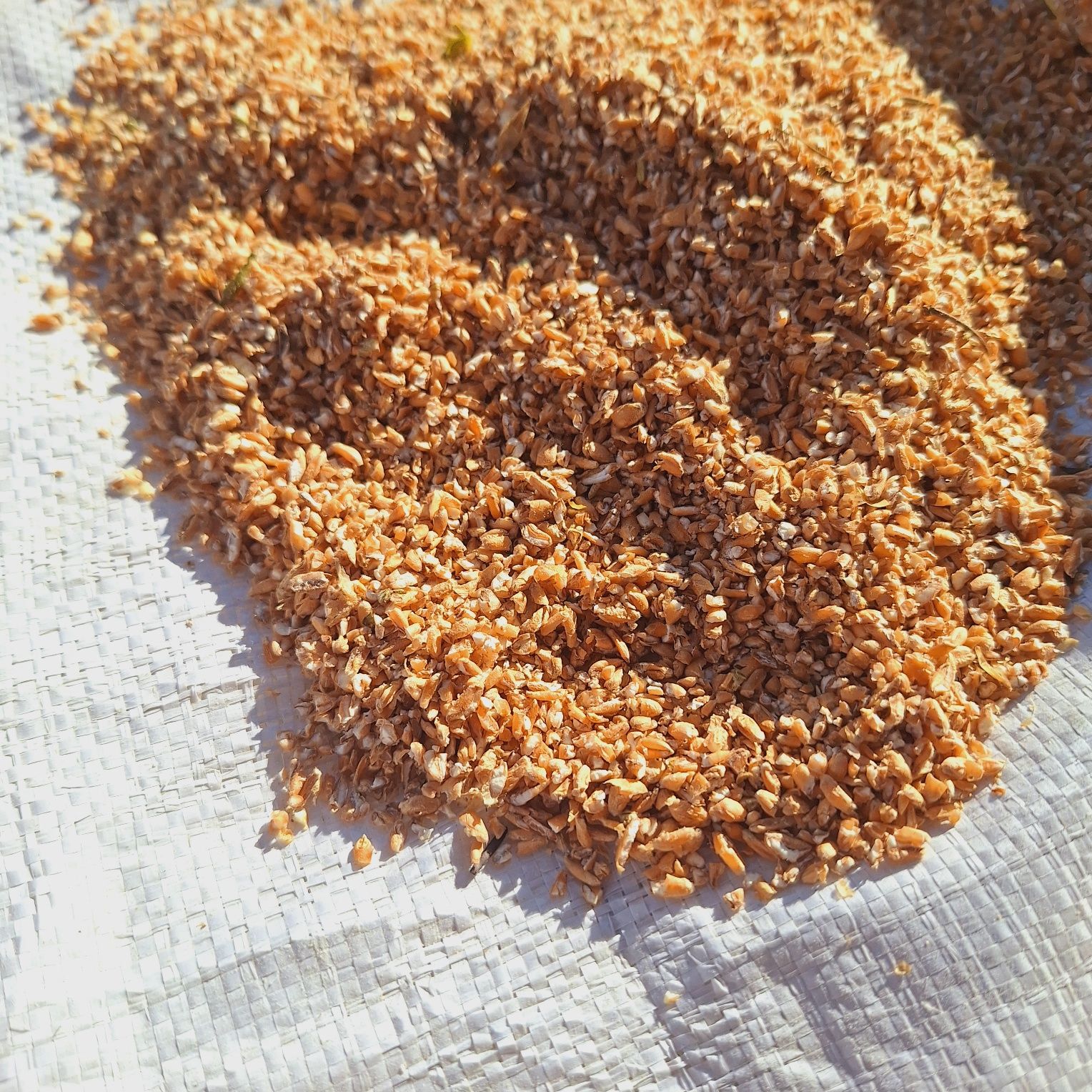Pszenica Gnieciona Dla Kur Niosek 25kg