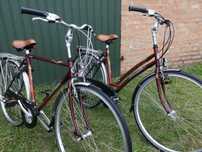 Para rowerów Gazelle Cayo 2 sztuki