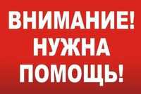 В Херсон срочно нужен рабочий холодильник.