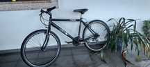 Bicicleta adulto