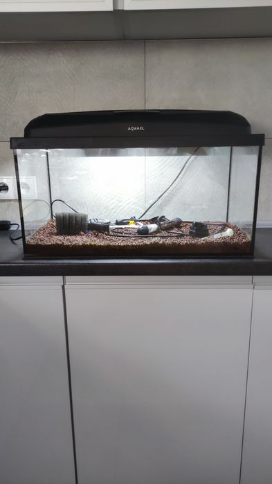 Akwarium 60l+wyposażenie