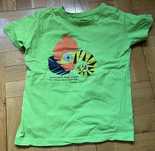 T-shirt "Kameleon z tego słynie..." - endo. - rozmiar 122