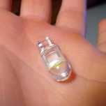 Lâmpadas LED T10 W5W