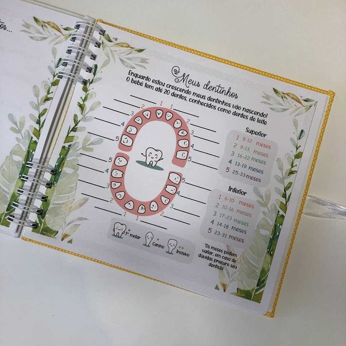 Álbum de 200 fotos e Livro do bebe safari