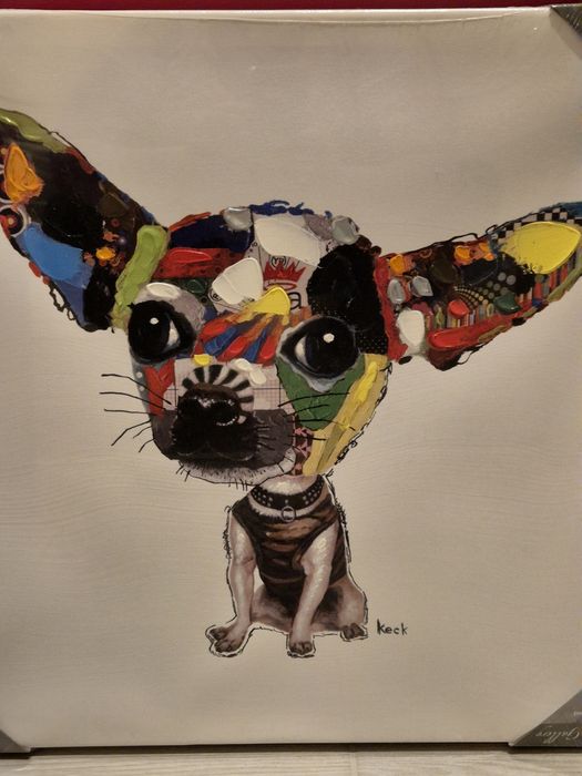 Obraz  Chihuahua  50X50 cm kolorowy