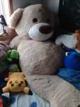 Urso gigante de peluche