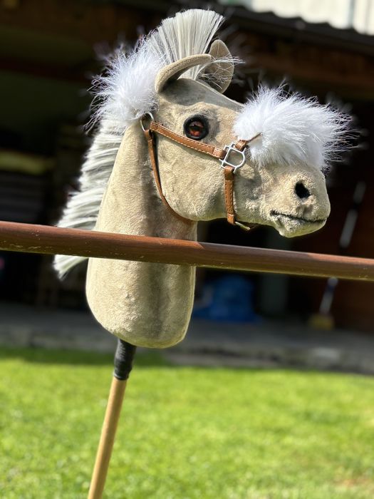 Hobby horse realistic