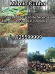 Limpeza de terrenos agrícolas e florestais