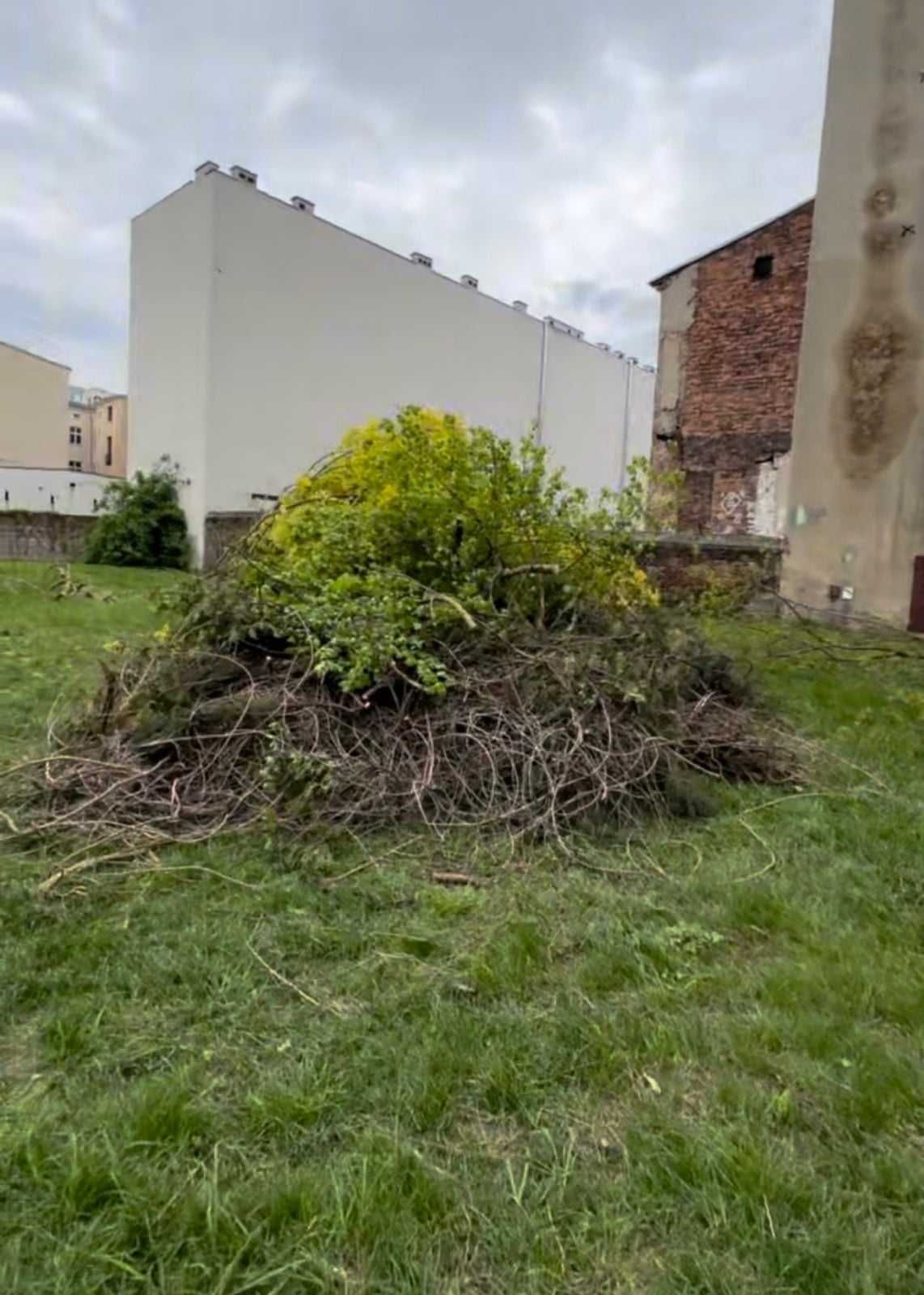 Wywóz gałęzi odpadów zielonych liści  trawy  Łódź okolice